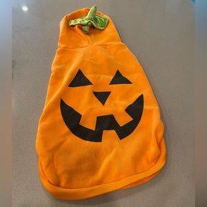 Dog Pumpkin Costume